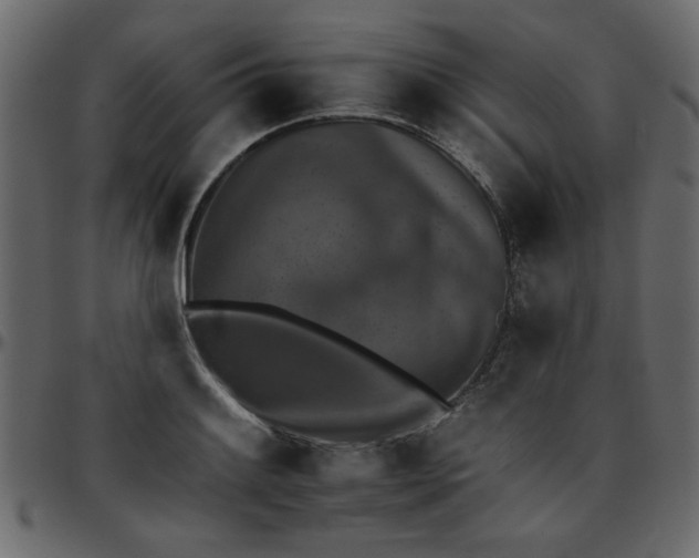 X0000095671084200801221159