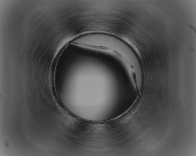 X0000095671085200801221159