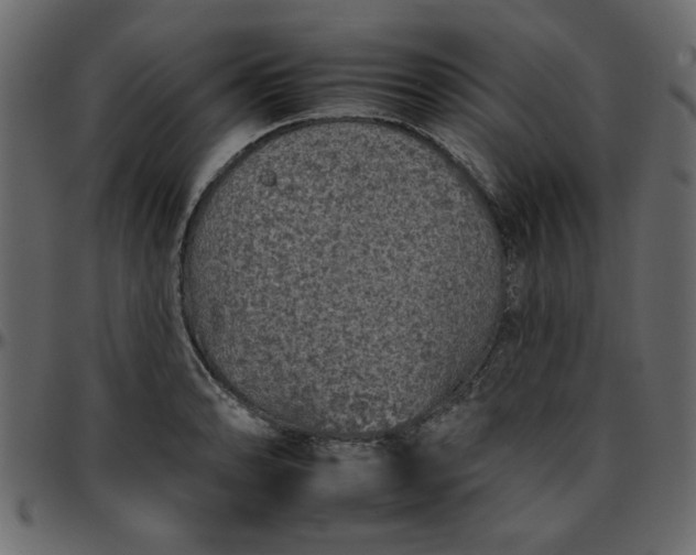 X0000095671086200801221159