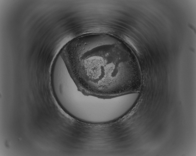 X0000095671087200801221159