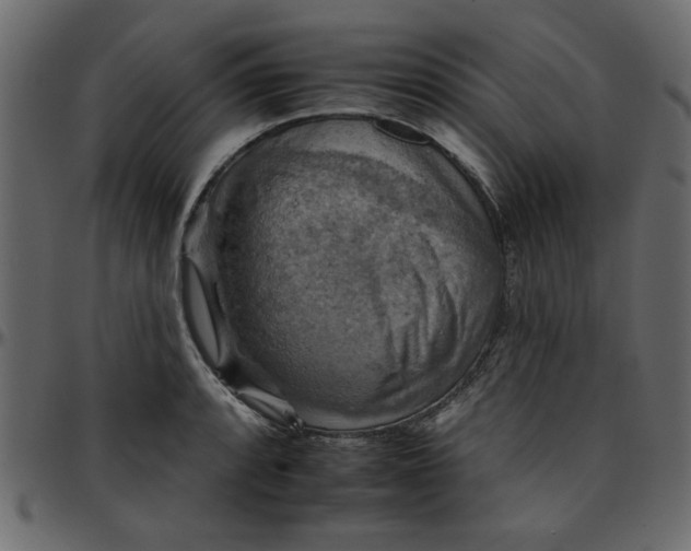 X0000095671088200801221159