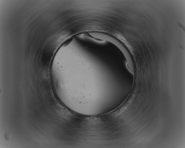 X0000095671089200801221159