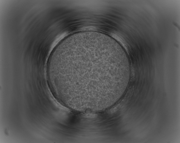 X0000095671090200801221159