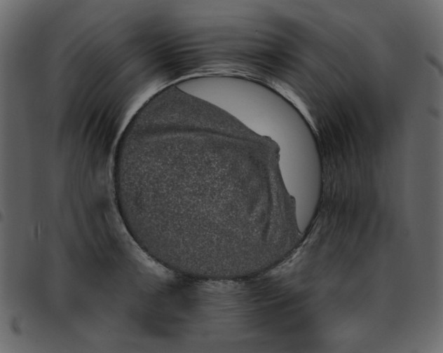 X0000095671091200801221159