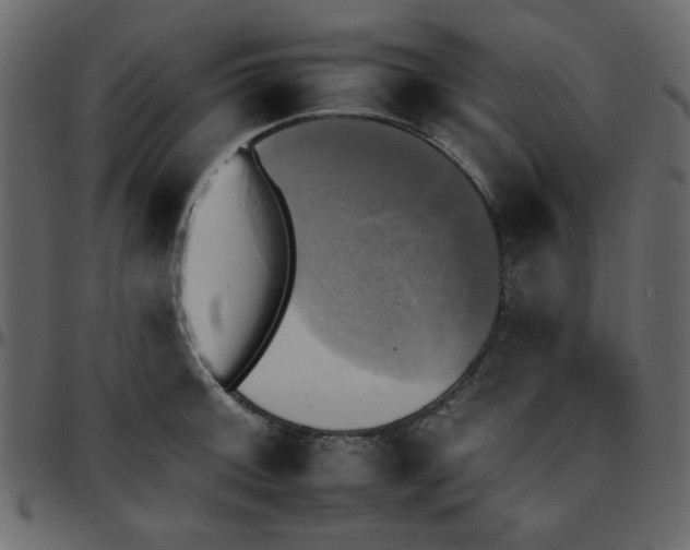 X0000095671092200801221159