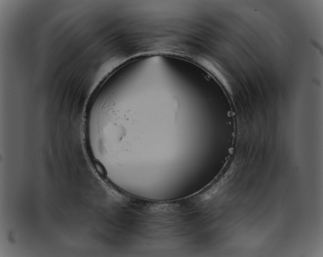 X0000095671093200801221159