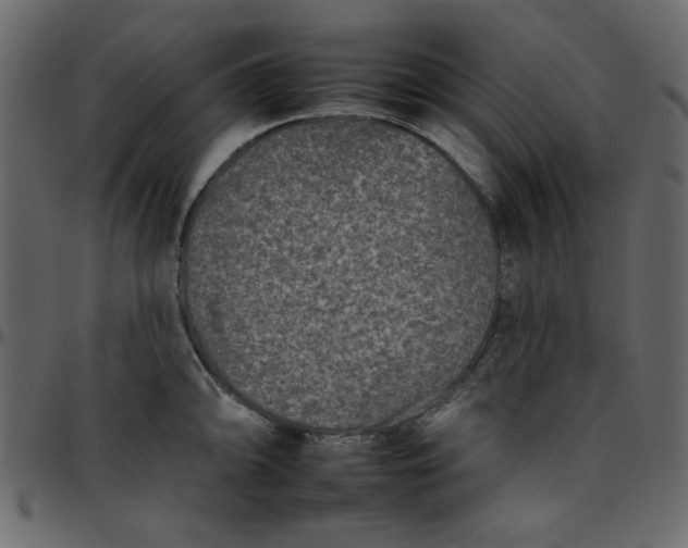 X0000095671094200801221159