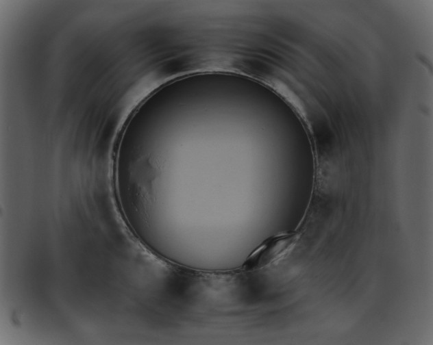 X0000095671096200801221159