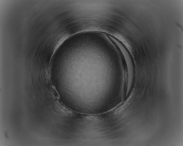 X0000095671097200801221159