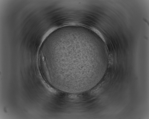 X0000095671098200801221159