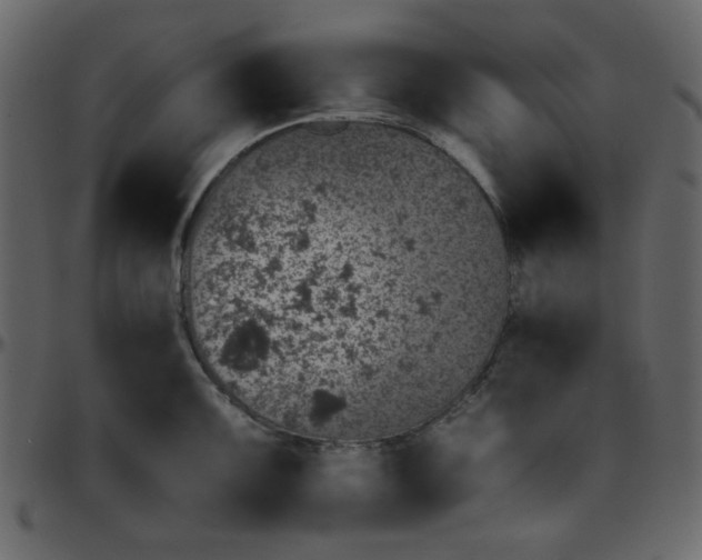 X0000095671099200801221159