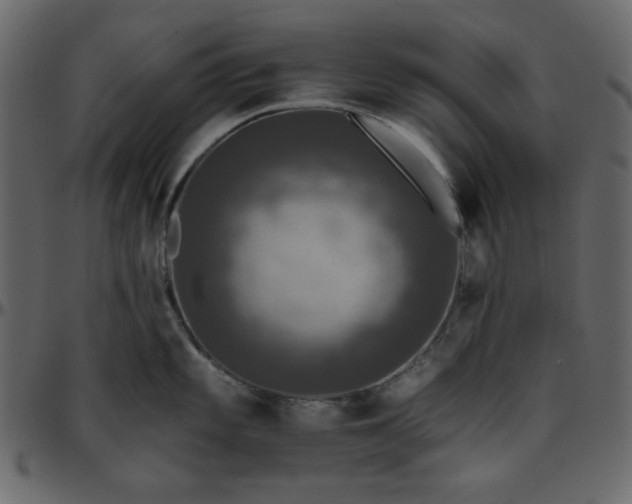 X0000095671101200801221159