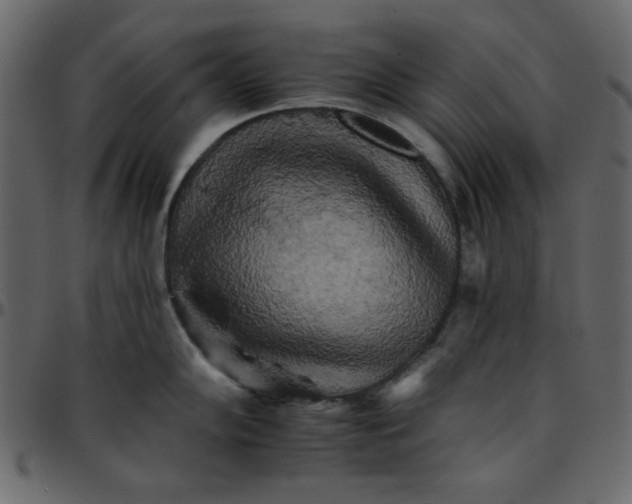 X0000095671102200801221159