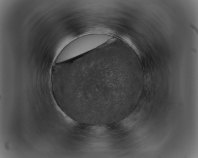 X0000095671103200801221159