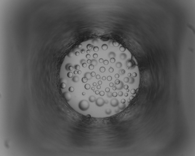 X0000095671105200801221158