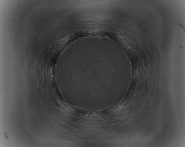 X0000095671106200801221158