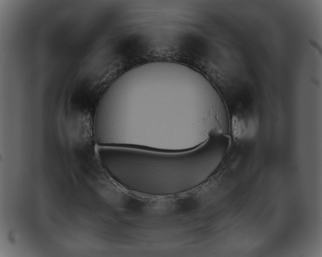 X0000095671107200801221158