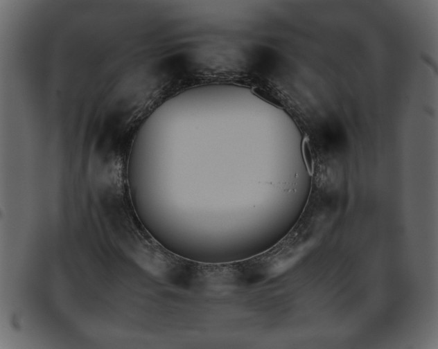 X0000095671108200801221158