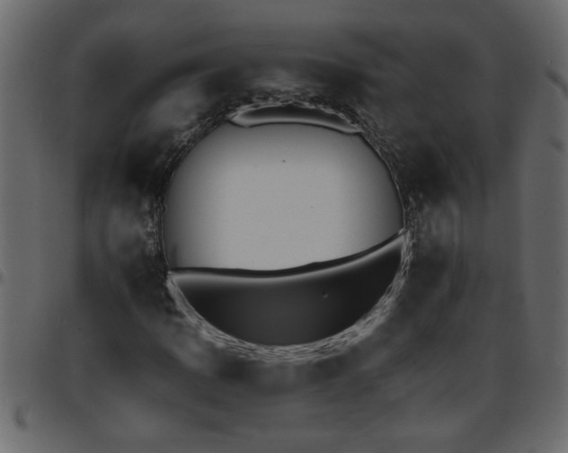 X0000095671109200801221158