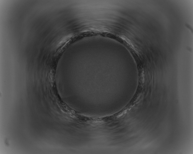 X0000095671110200801221158