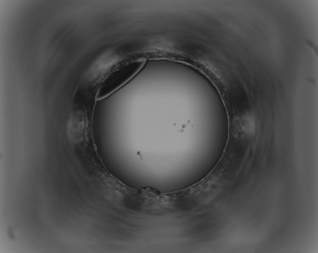 X0000095671111200801221158