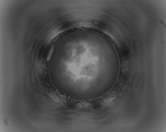 X0000095671112200801221158