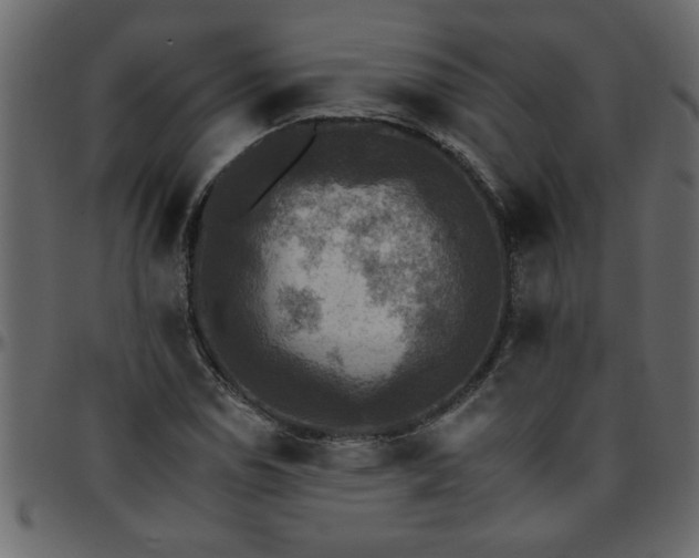 X0000095671114200801221158