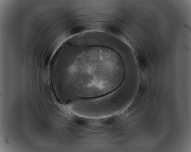 X0000095671116200801221158