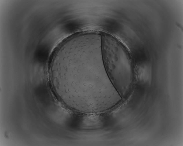 X0000095671117200801221158