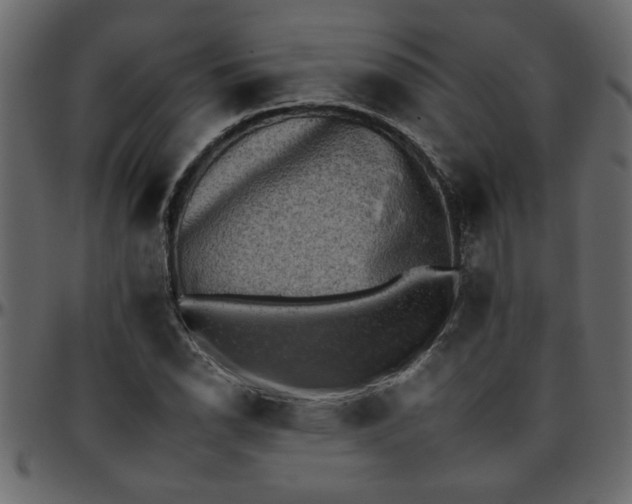 X0000095671118200801221158