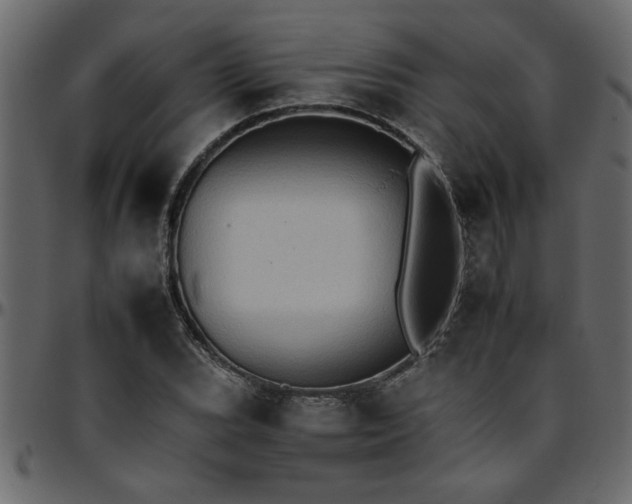 X0000095671119200801221158