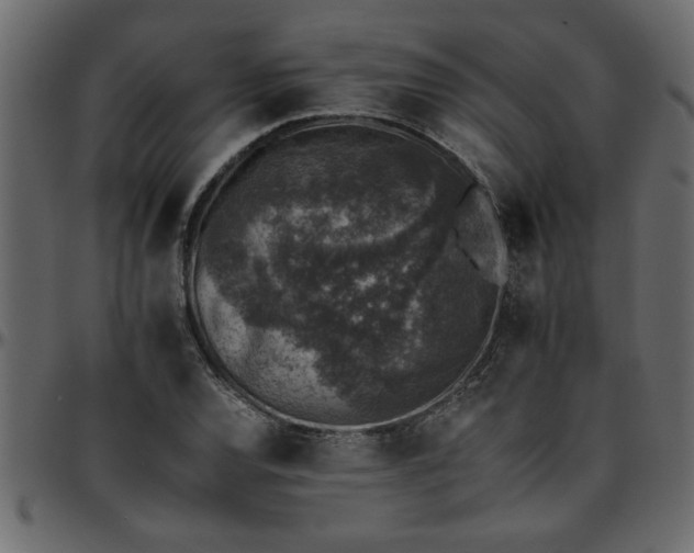 X0000095671120200801221158