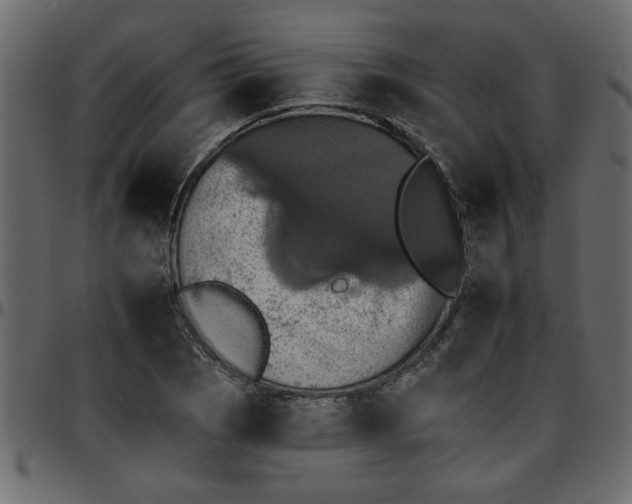 X0000095671121200801221158