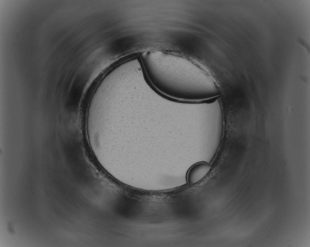 X0000095671122200801221158