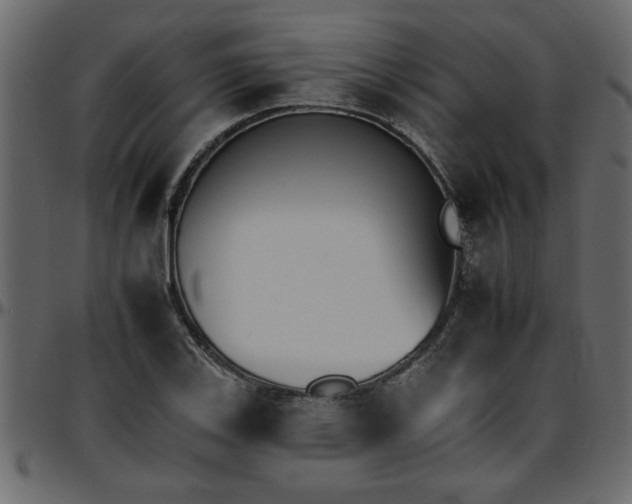 X0000095671123200801221158