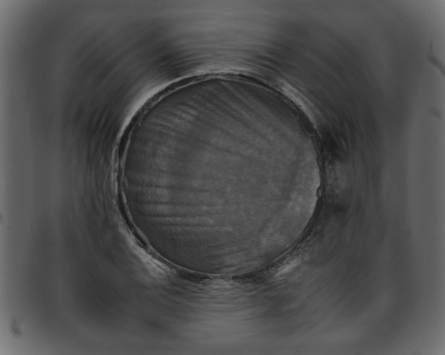 X0000095671124200801221158