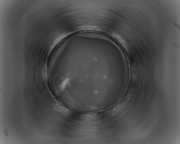 X0000095671125200801221158