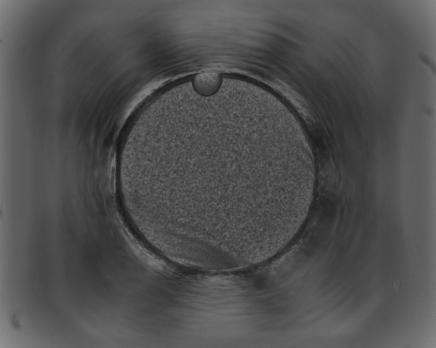 X0000095671126200801221159