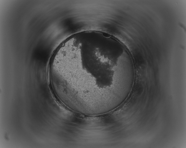 X0000095671127200801221159