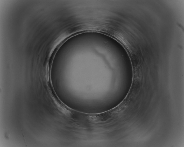 X0000095671128200801221159