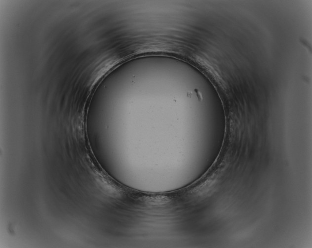 X0000095671129200801221159