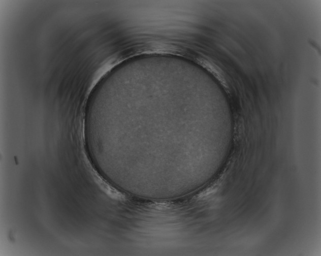 X0000095671130200801221159