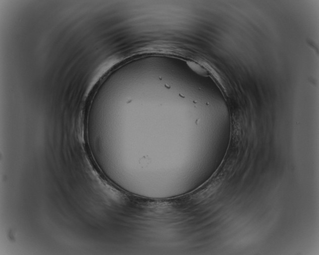 X0000095671131200801221159