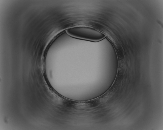 X0000095671132200801221159