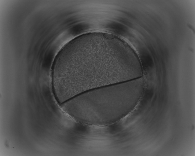 X0000095671133200801221159