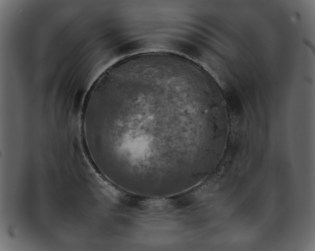 X0000095671134200801221159