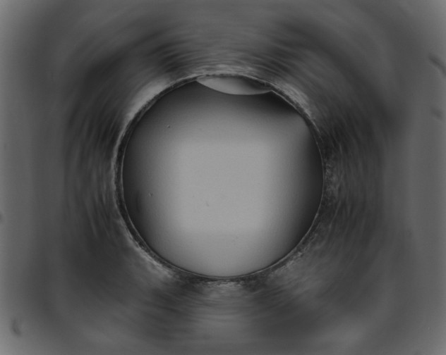 X0000095671135200801221159