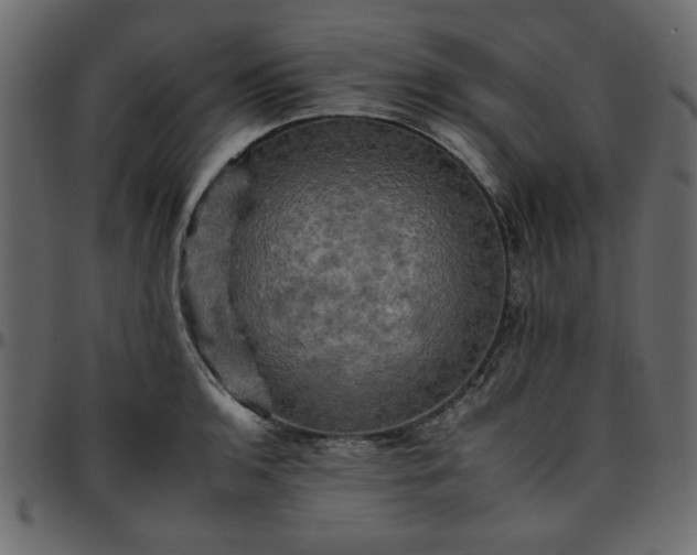 X0000095671136200801221159