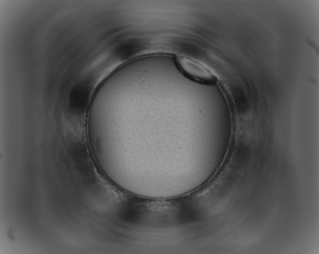 X0000095671137200801221159