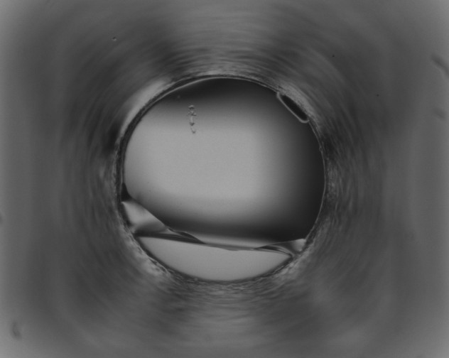 X0000095671138200801221159